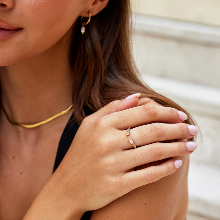 Anillo LÉA