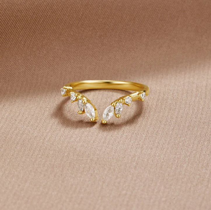 Anillo LÉA