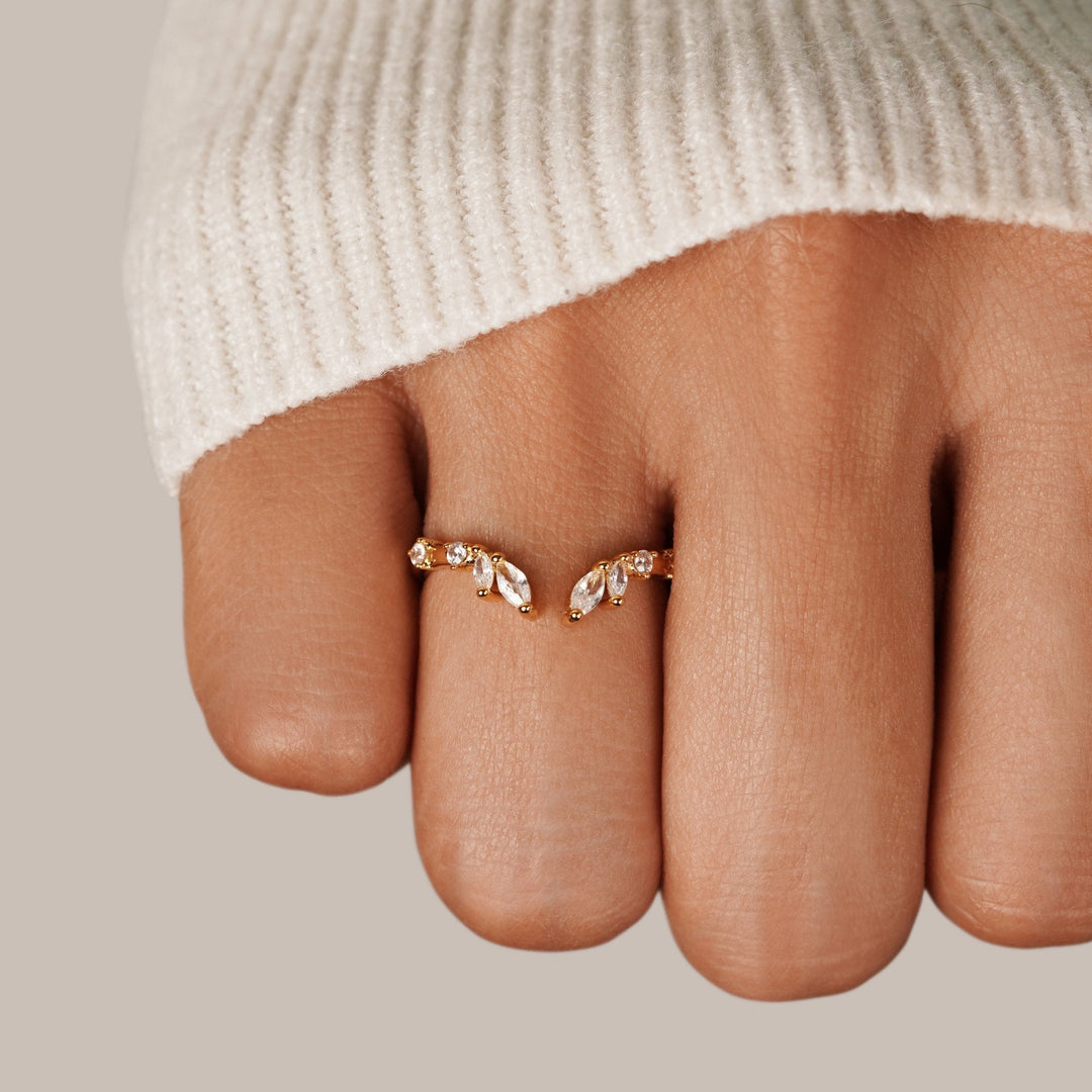 Anillo LÉA